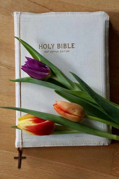 Bible blanche avec trois tulipes colorées sur une table en bois.